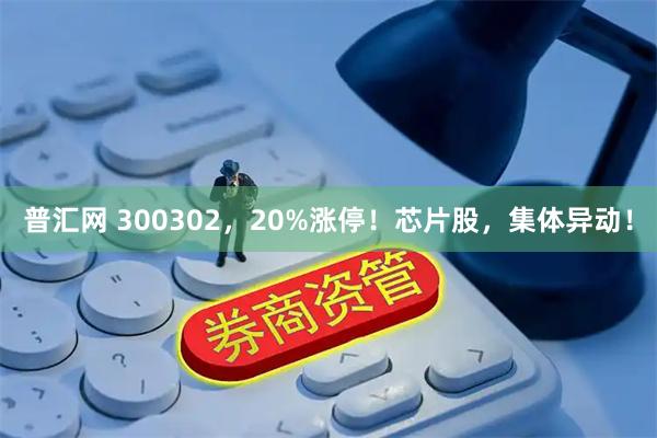 普汇网 300302，20%涨停！芯片股，集体异动！