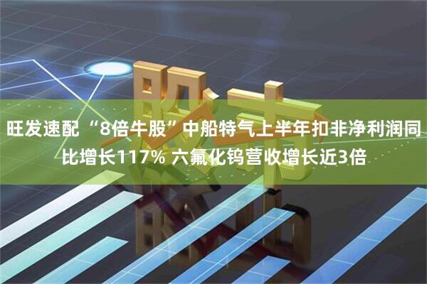 旺发速配 “8倍牛股”中船特气上半年扣非净利润同比增长117% 六氟化钨营收增长近3倍